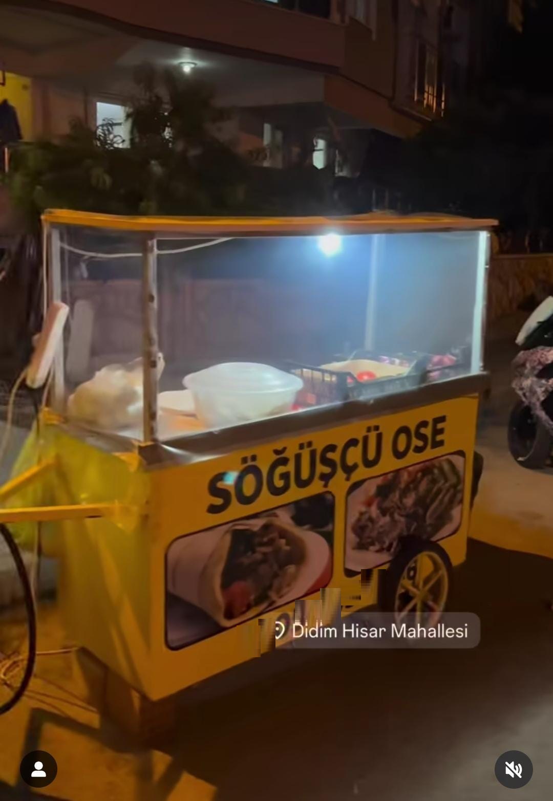 Özer Gece Söğüşçüsü